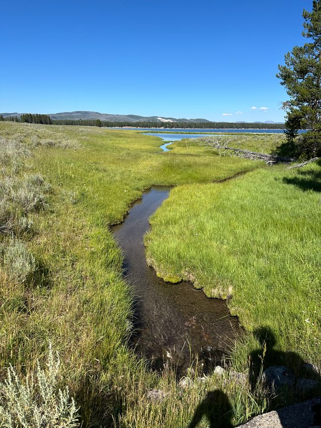 Wyoming: Yellowstone Parte 1