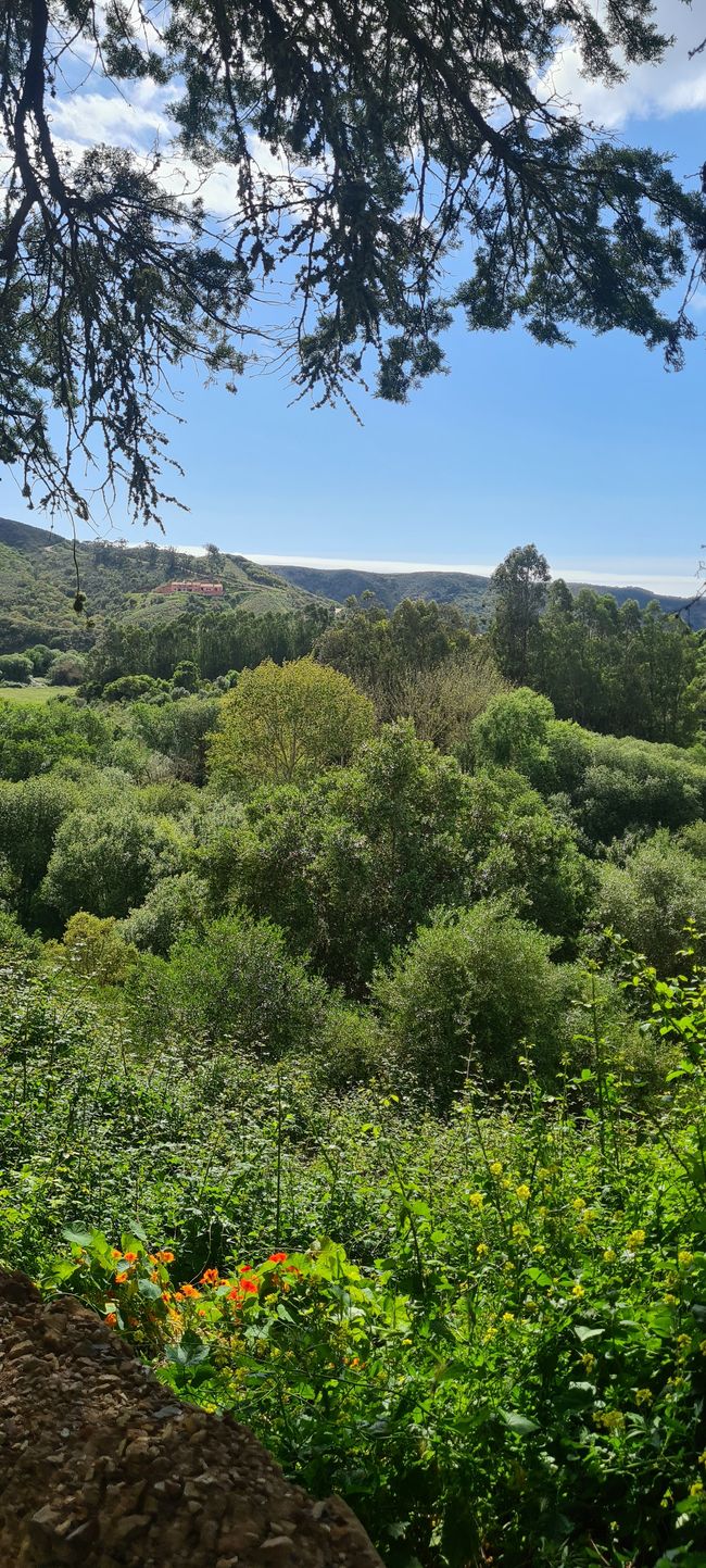 6. Etapa Praia de Odeceixe - Monte Clerigo