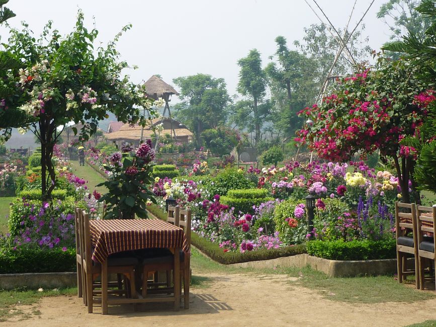 Hello Nepal