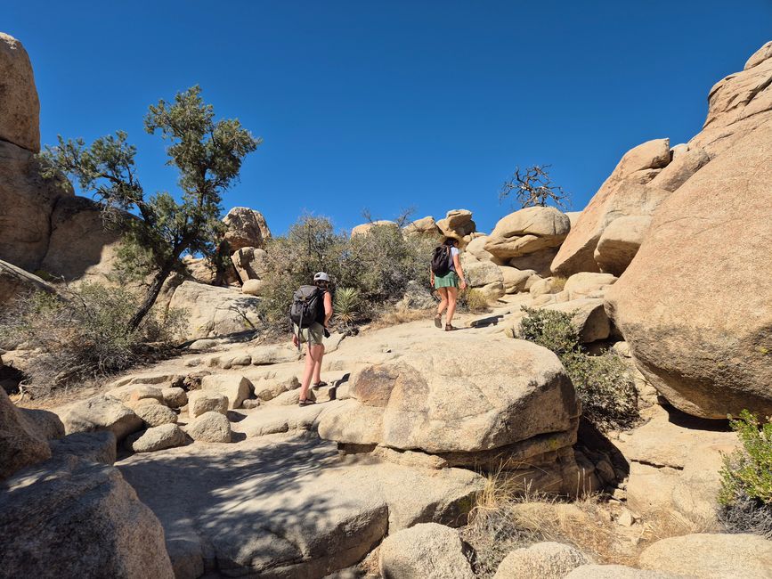 Joshua Tree