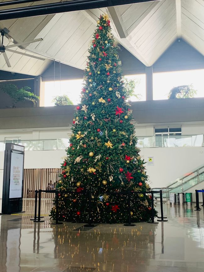 Medellin 🎄