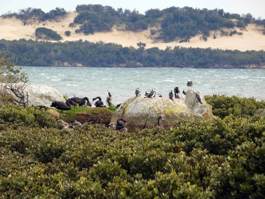 Wilsons-Promontory-Nationalpark