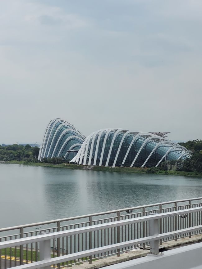 Tag 116 und 117: Kreuzfahrt rund um die Welt  - Singapur