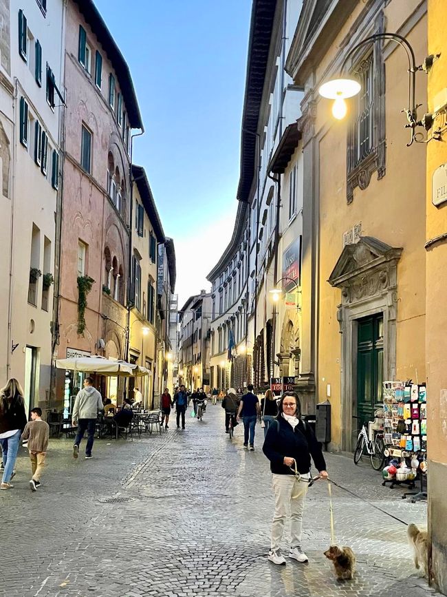 Une visite rapide dans les ruelles illuminées de Lucca était incontournable.