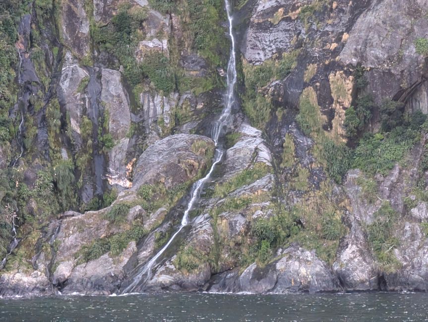 65.Tag 10.3.25 Milford Sound (Südinsel Neuseelands Westseite)