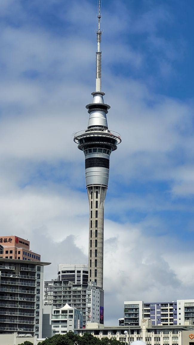29.Januar-27.Februar 2025 Neuseeland
23.Februar