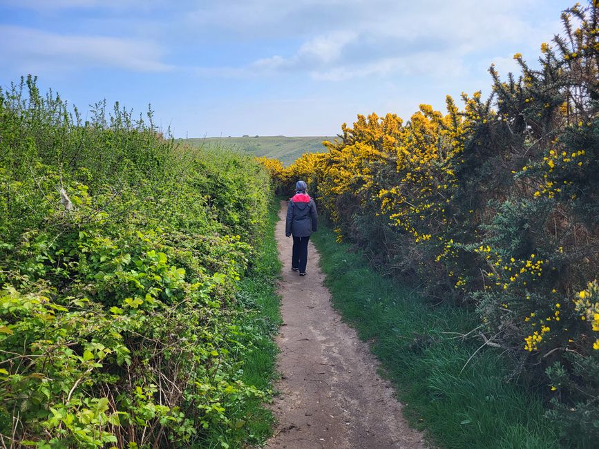 Wanderweg