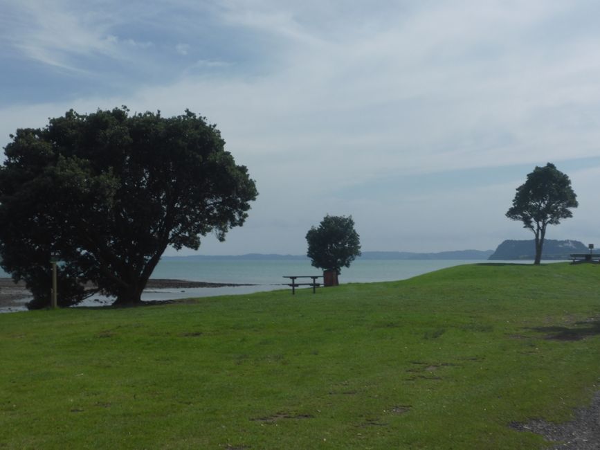 2025-04-15 Dargaville