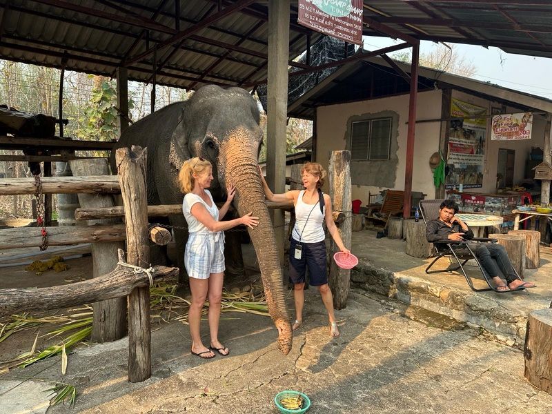 Elephants and “Ricola”… that only exists in Thailand