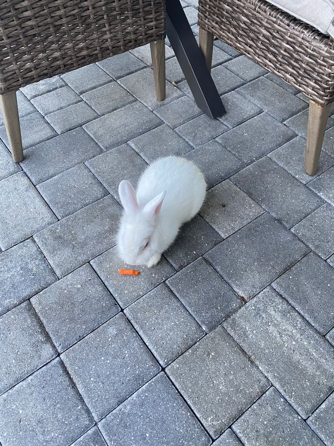 Helmut war auch er da