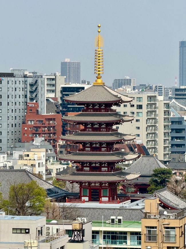 Parte 7
BENVENUTO IN GIAPPONE 🇯🇵
TOKYO