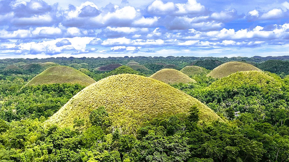 Chocolate Hills, Bohol