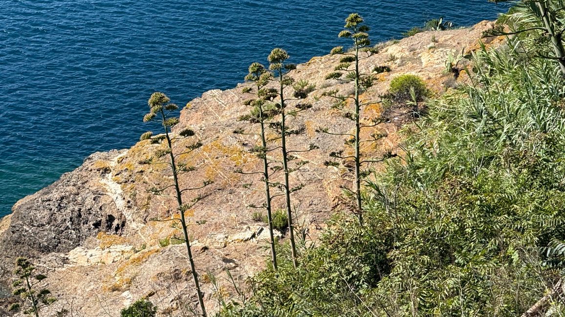 Porto Azzurro (Elba)