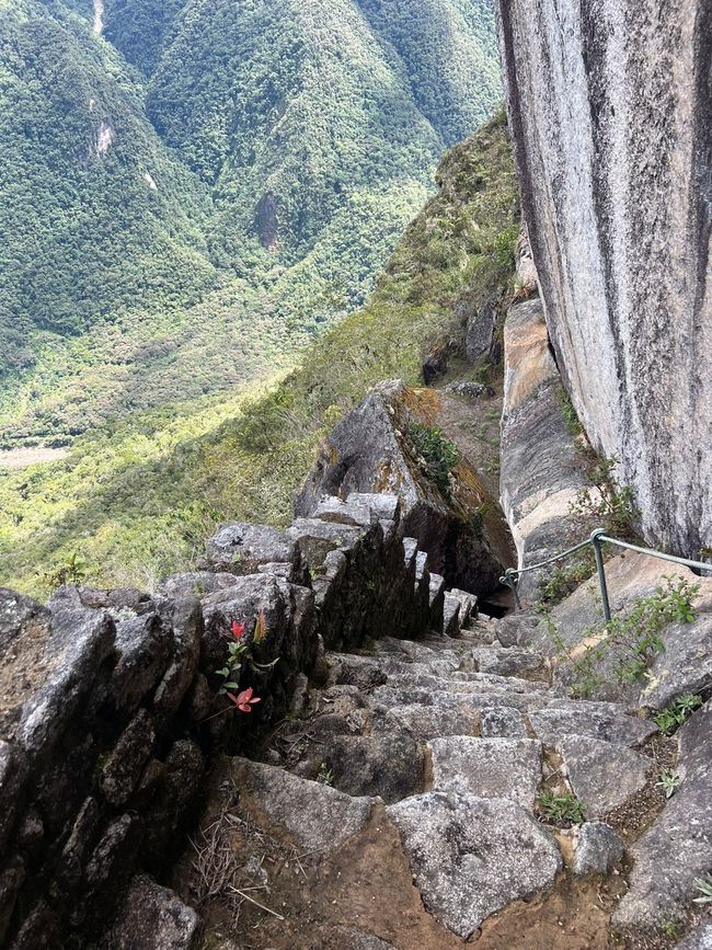 👷‍♂️标签 31-1 (3.11.) 马丘比丘，登上惠纳比丘山