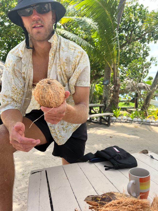 Kokosnuss 