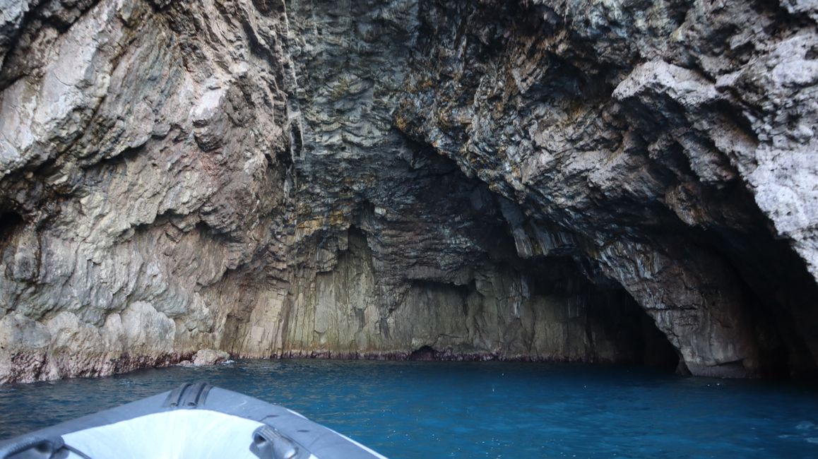 Bootstour entlang der Küste von Whitianga bis zur Cathedral Cove