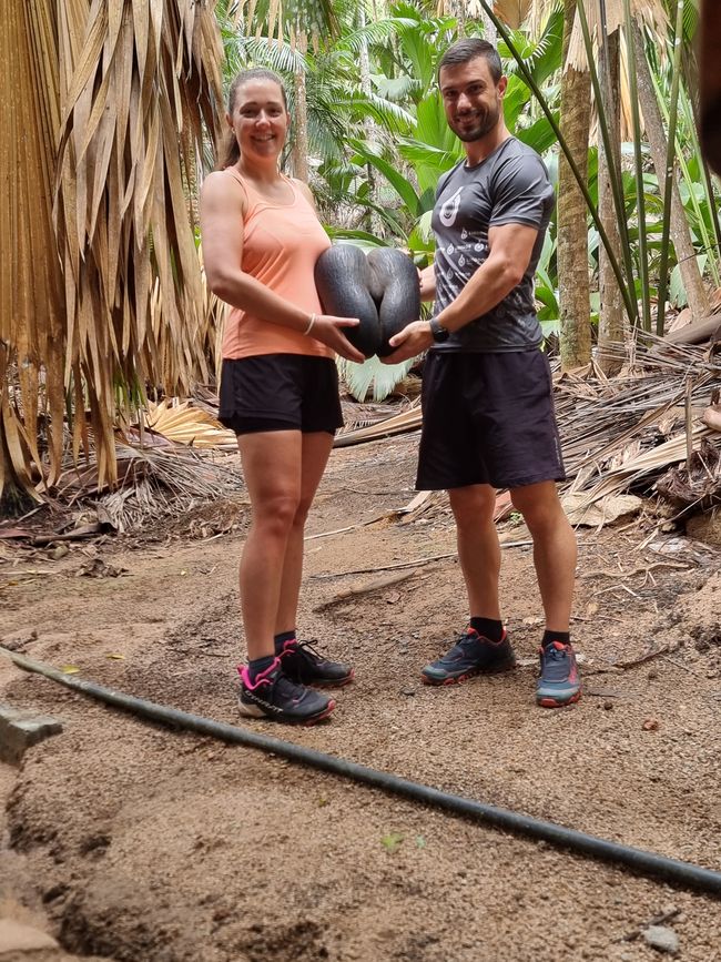 Seychellen - Tag 8: Praslin Nationalpark Vallée de Mai