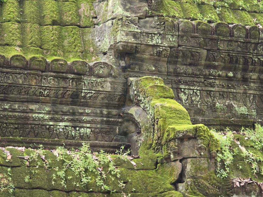 Ta Prohm