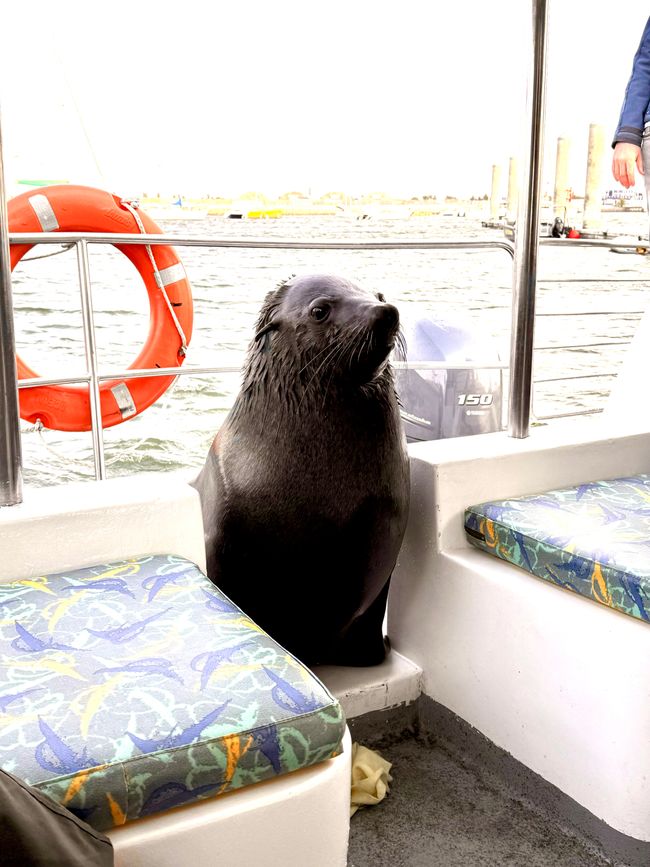 Swakopmund - por tierra y por mar