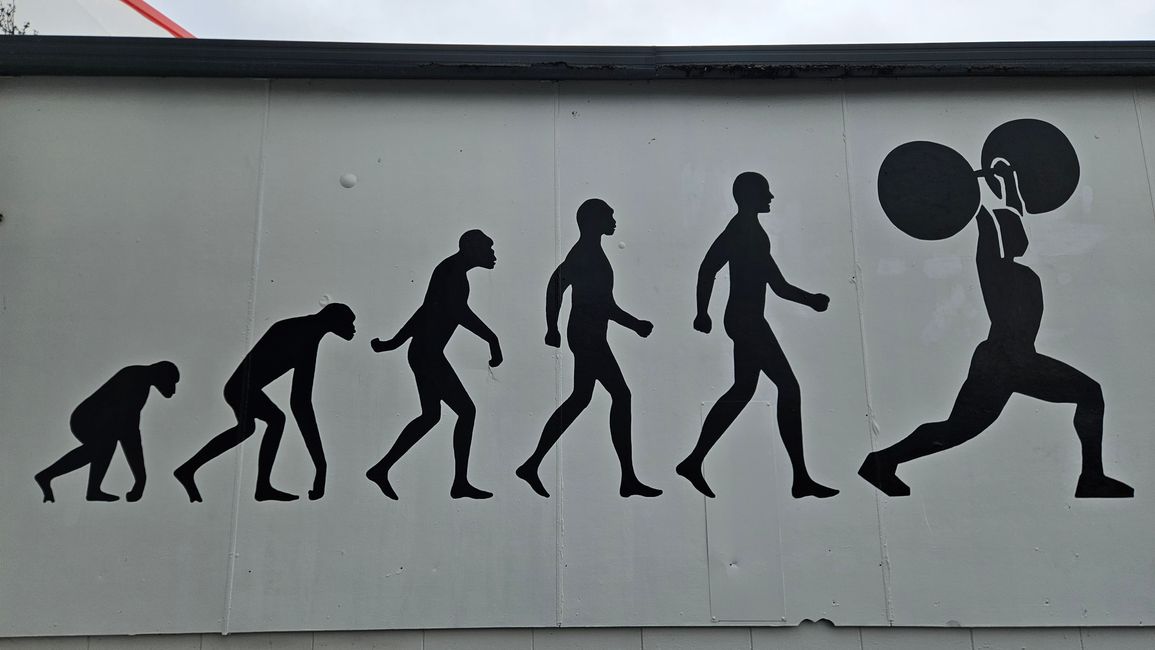 Palmerston North - Castlepoint