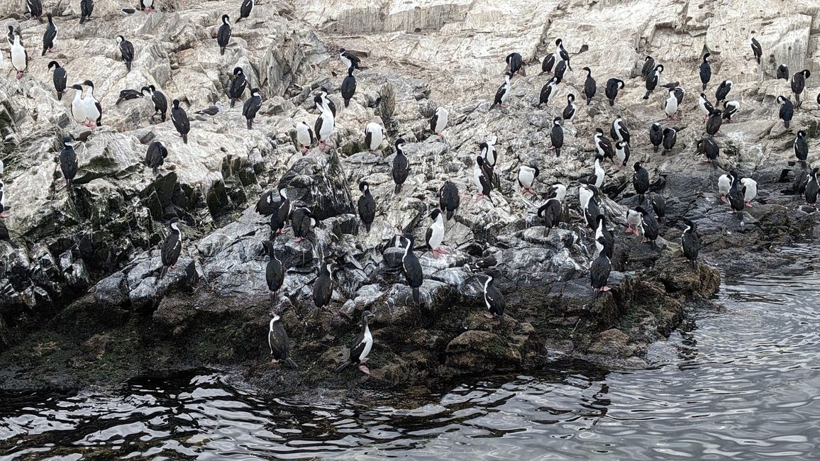 Beagle Channel Navigation mit Patagonia Adventure Explorer