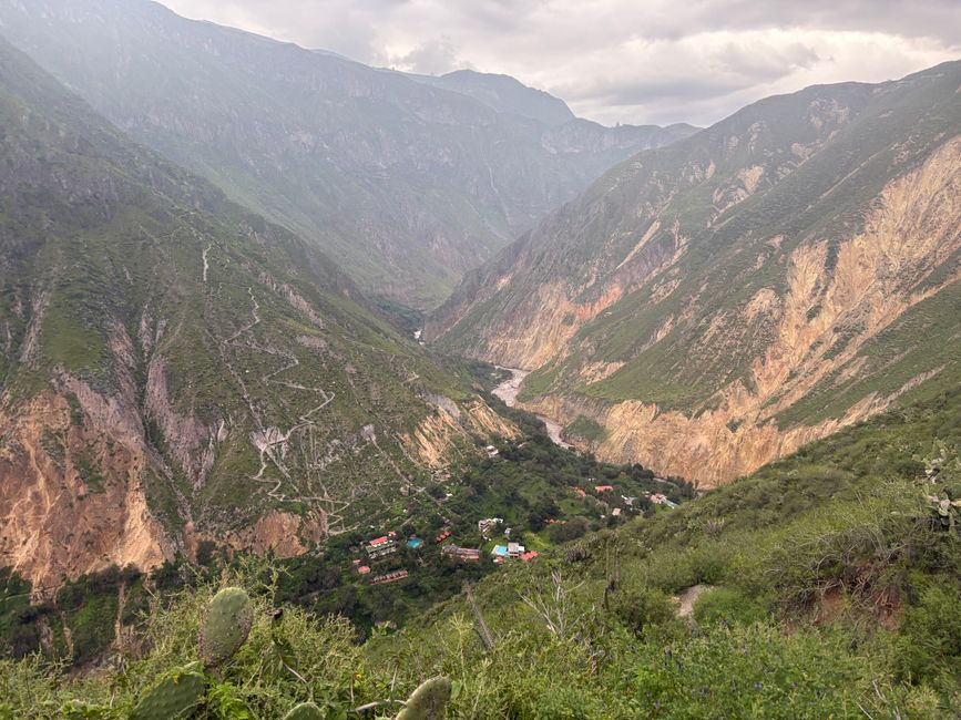 Canyon de Colca