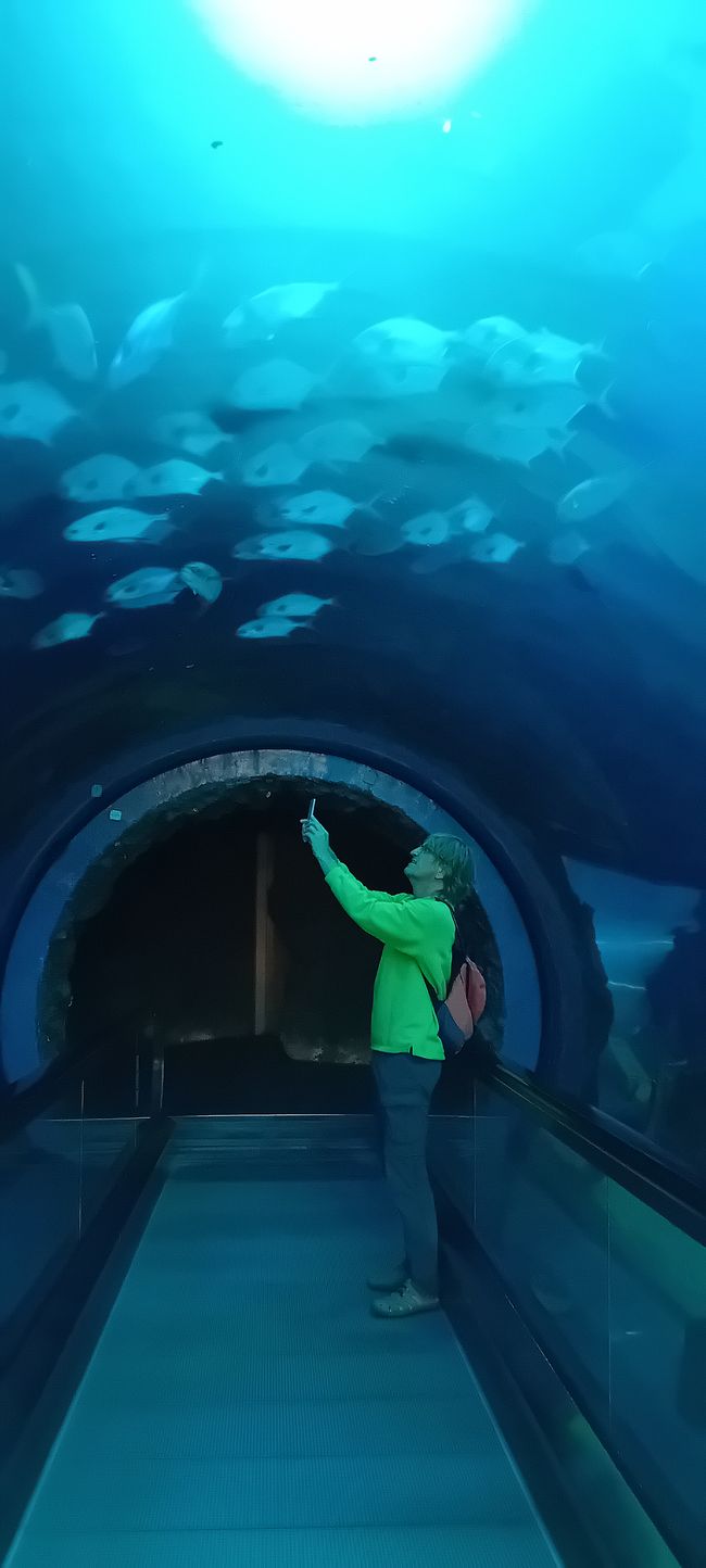 Checheng / Museo Nazionale di Biologia Marina & Museo