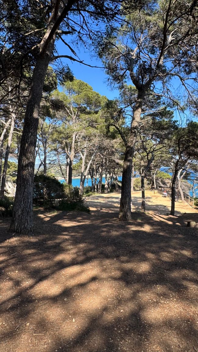 Von Barcelona nach Lloret de Mar - entspannt an der Costa Brava