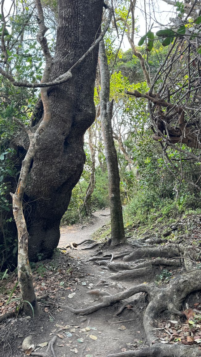 Sentiero Mouth, Kajak, Escursionismo