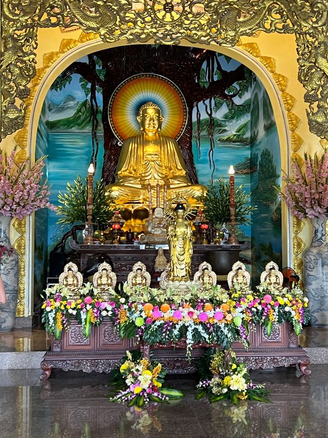 Tag 5 - Hoi An: Ein Tag mit Affen, Einhörnern und vielen Überraschungen