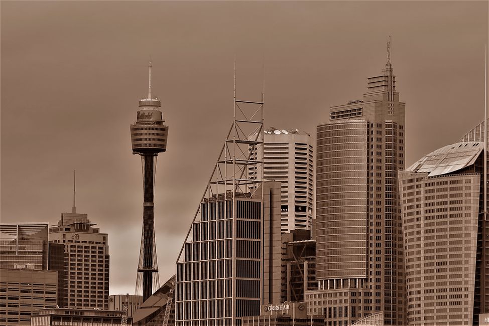Skyline von Sydney mit dem Fernseher-und Aussichtsturm dem Sydney Tower.