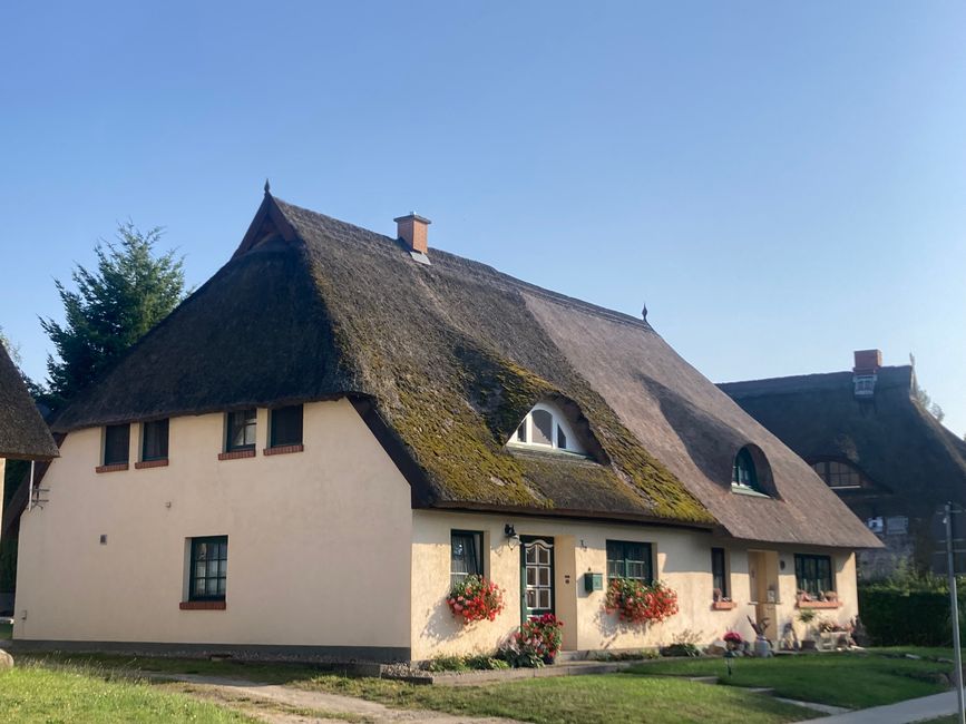 Greifswald und über die Freude im Großen und im Kleinen