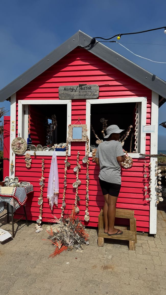 Jeffreys Bay Surfer Paradies