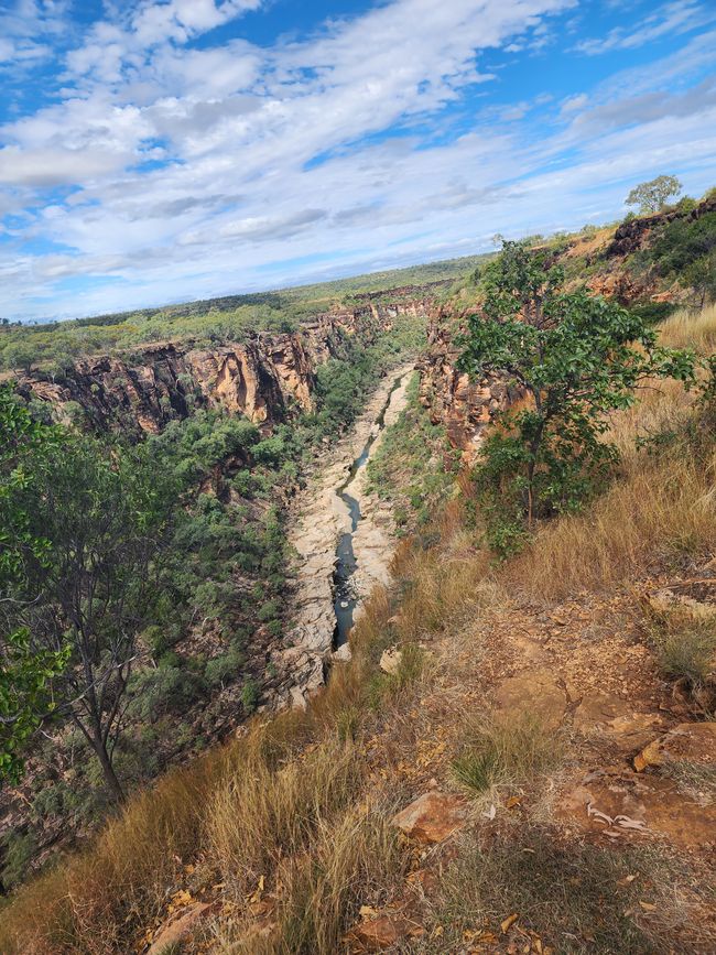 Tag 18, 12. Mai: Porcupine Gorge