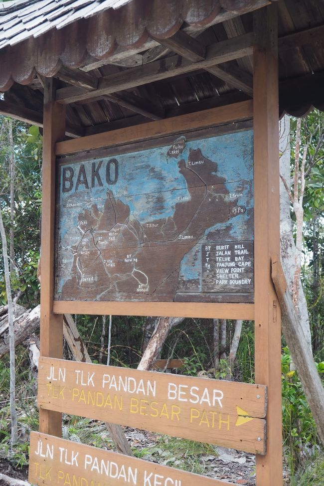 🇲🇾 Der Bako Nationalpark 🏞️ in Kuching/ Sarawak/ auf Borneo