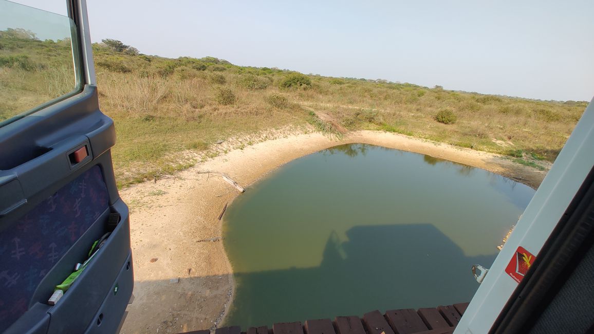 Brazil, Through the Pantanal