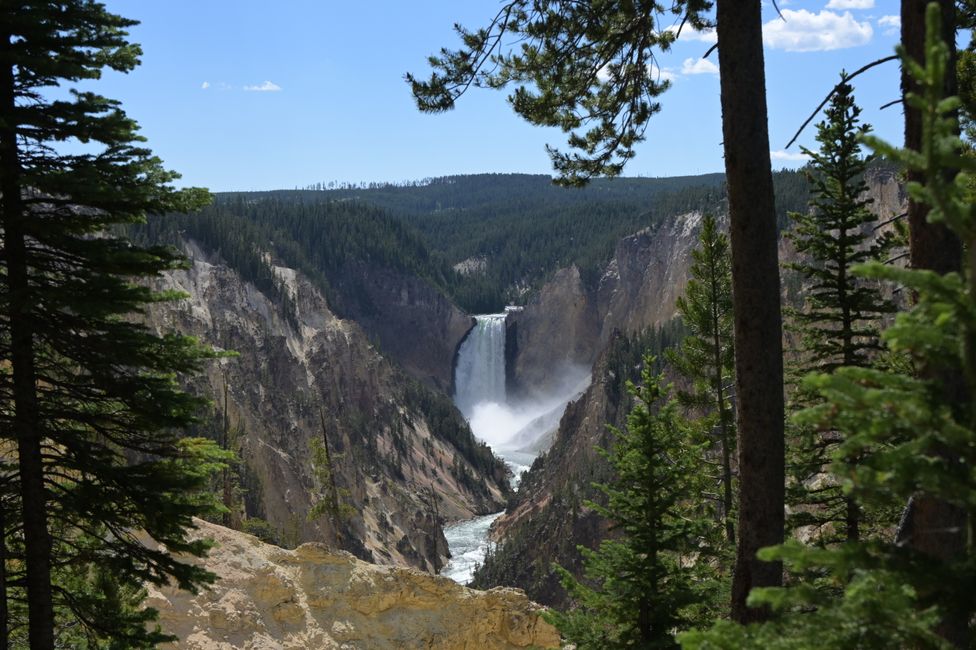 Grand Canyon de Yellowstone - Chutes Inférieures