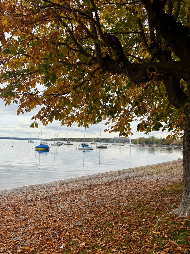 📍Ammersee