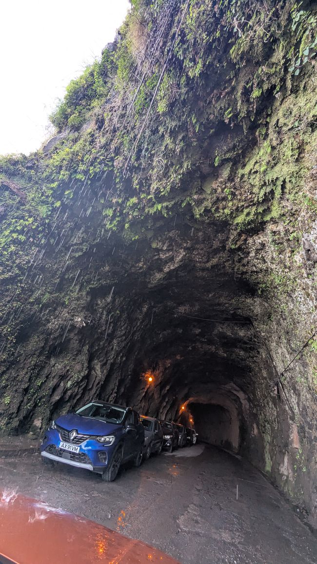 Day 15: The South Coast with Waterfall, Skywalk & Cristo Rei