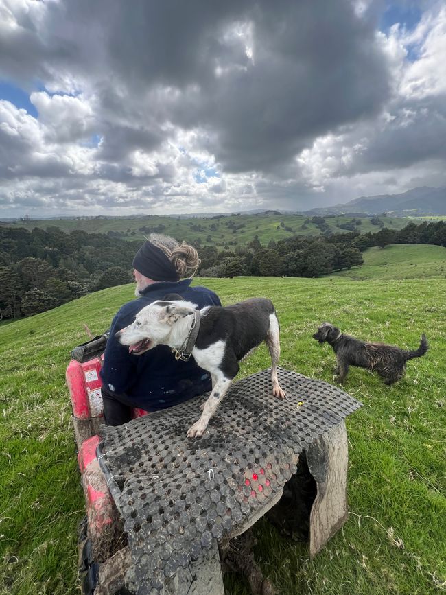 2. Woofing