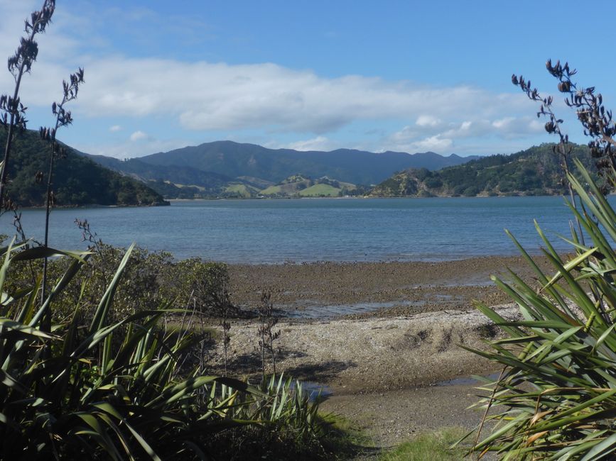 Côte ouest Whangaahei Bay