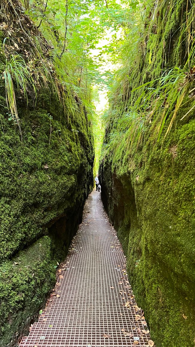 Discover Germany anew