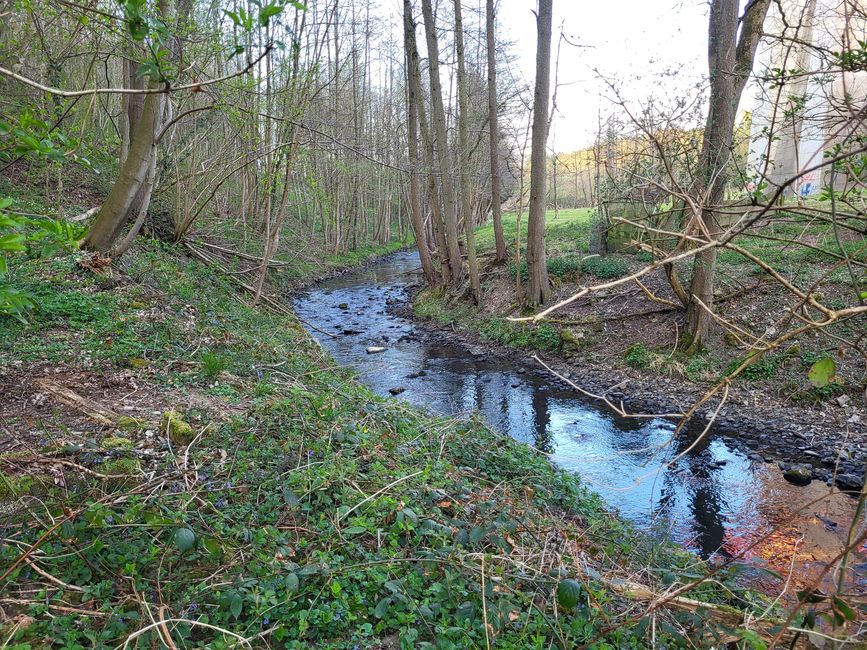 Wanderung vom Naturcampingplatz bei Kelmis