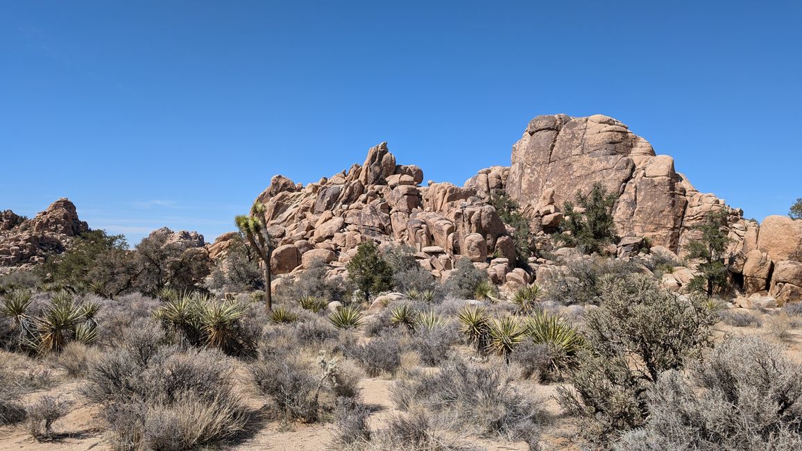 USA - Las Vegas and more ...   road trip 2025