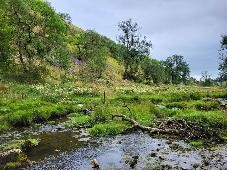 Hike to Malham Cove 