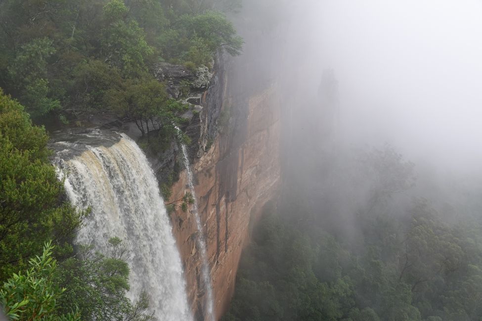 Fitzroy Falls