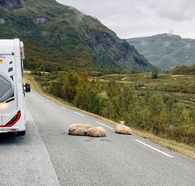 Día de viaje - Bienvenido de nuevo a Sogndal