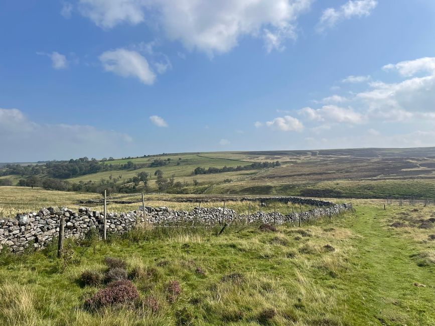 30.08.2024 Shap a Orton