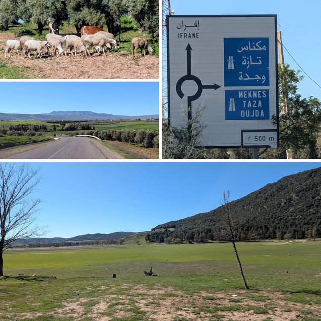 pista