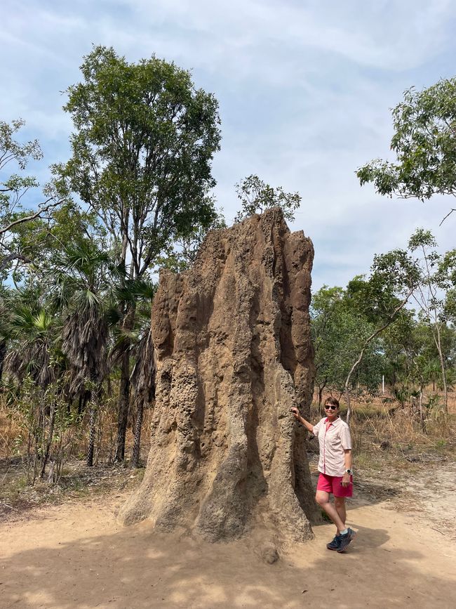 Termite mound just before leaving Litchfield